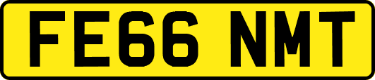 FE66NMT