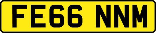 FE66NNM
