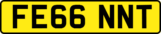 FE66NNT