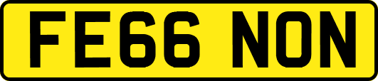 FE66NON