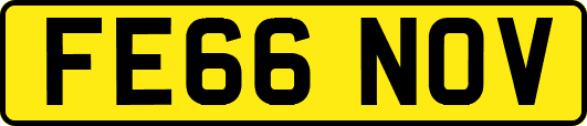 FE66NOV