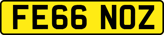 FE66NOZ