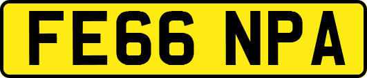 FE66NPA