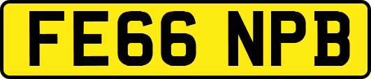 FE66NPB
