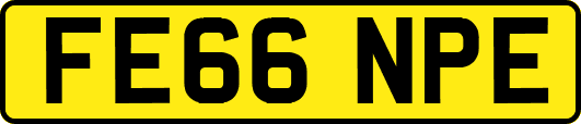 FE66NPE
