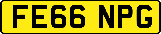 FE66NPG