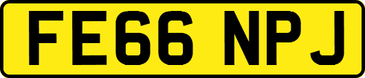 FE66NPJ