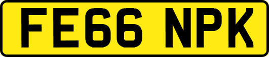 FE66NPK