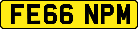 FE66NPM