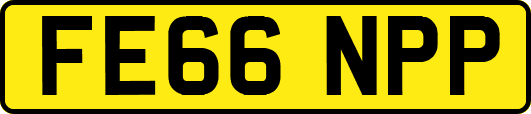 FE66NPP
