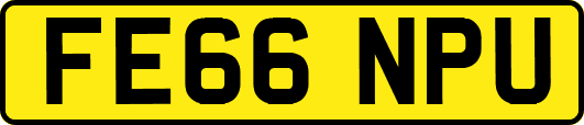 FE66NPU