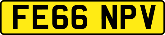 FE66NPV