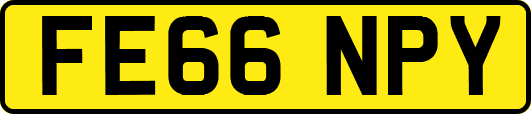 FE66NPY