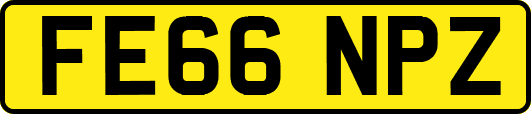 FE66NPZ