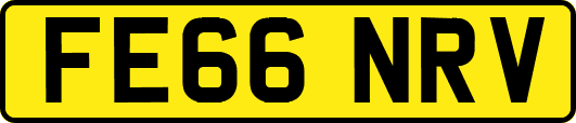 FE66NRV