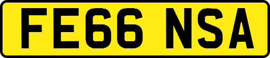 FE66NSA
