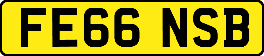 FE66NSB