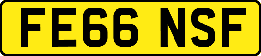 FE66NSF