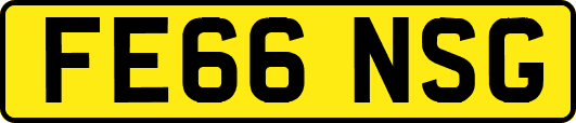 FE66NSG