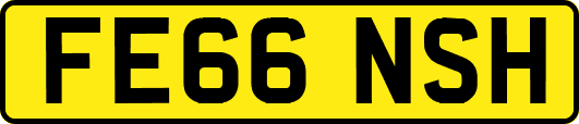 FE66NSH