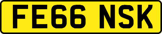 FE66NSK