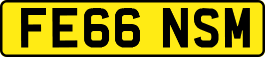FE66NSM