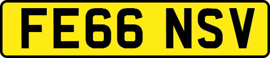 FE66NSV
