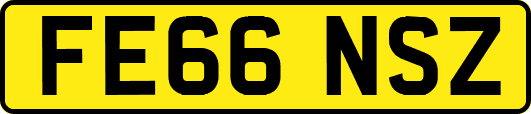 FE66NSZ