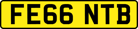 FE66NTB