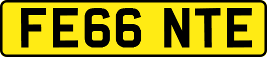 FE66NTE