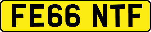 FE66NTF