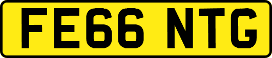 FE66NTG