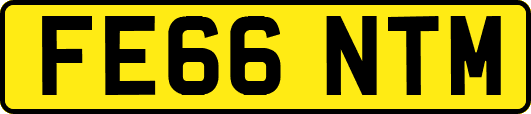 FE66NTM