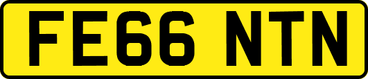 FE66NTN