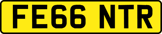 FE66NTR