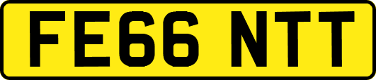 FE66NTT