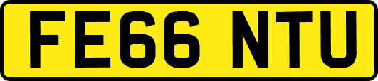 FE66NTU