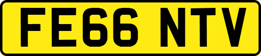 FE66NTV