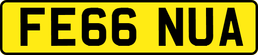 FE66NUA