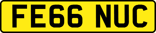 FE66NUC