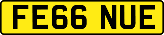 FE66NUE