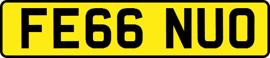 FE66NUO