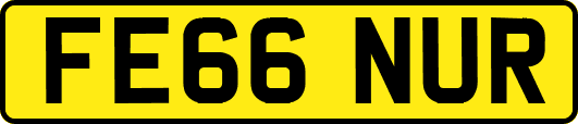 FE66NUR