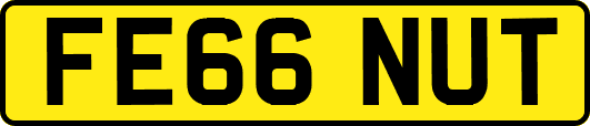 FE66NUT