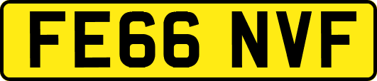 FE66NVF