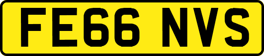 FE66NVS