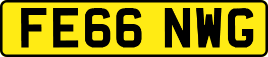 FE66NWG