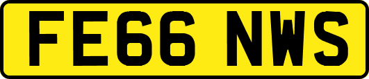 FE66NWS