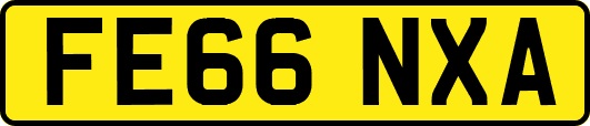 FE66NXA