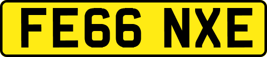 FE66NXE